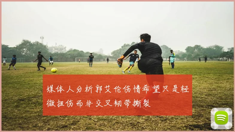 媒体人分析郭艾伦伤情希望只是轻微扭伤而非交叉韧带撕裂